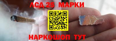 индика Заволжье