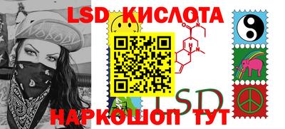 индика Заволжье