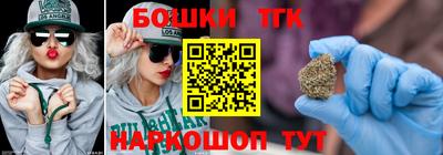 индика Заволжье