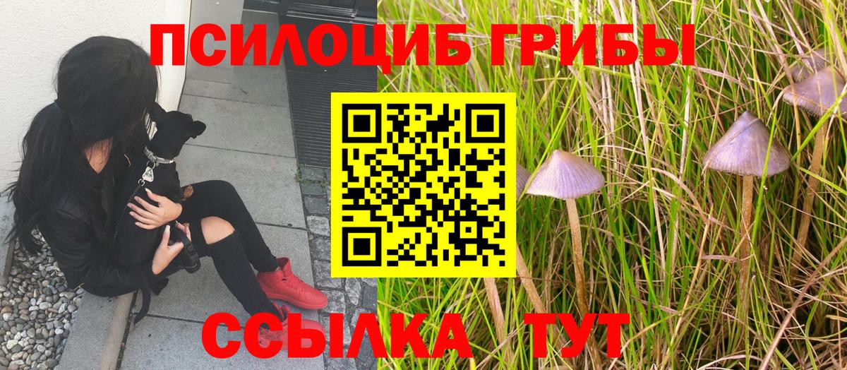 Кропоткин  Псилоцибиновые грибы прущие грибы  Вход с VPN  Галлюциногенные грибы мицелий 